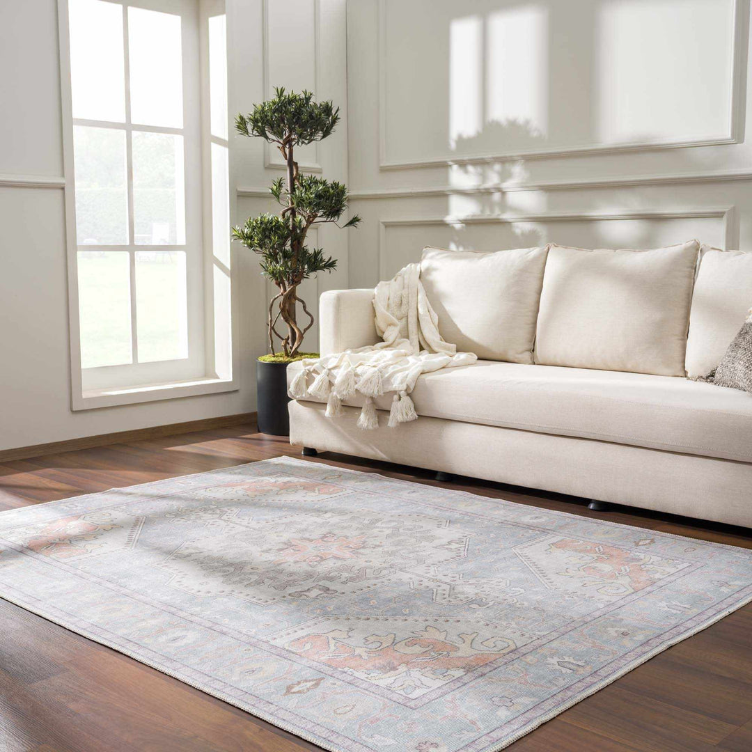 Pacay Traditional Style Gray And Rust Area Rug