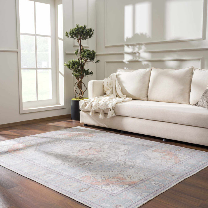 Pacay Traditional Style Gray And Rust Area Rug