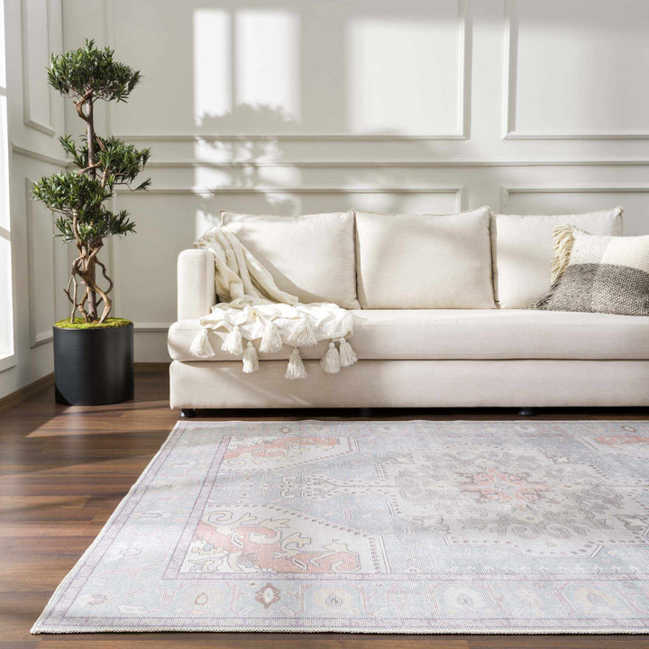 Pacay Traditional Style Gray And Rust Area Rug