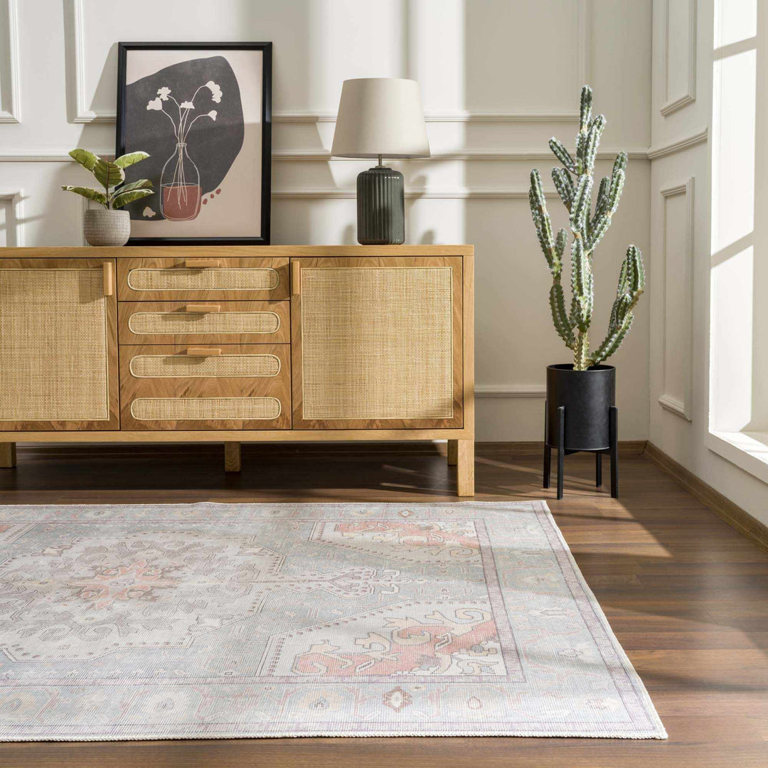 Pacay Traditional Style Gray And Rust Area Rug