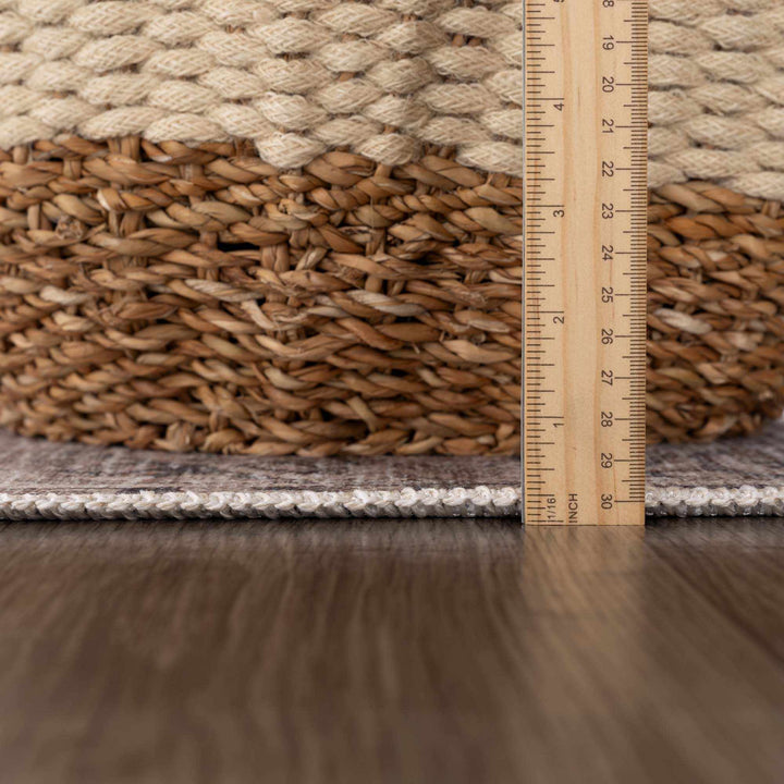 Nyako Gray Traditional Style Area Rug
