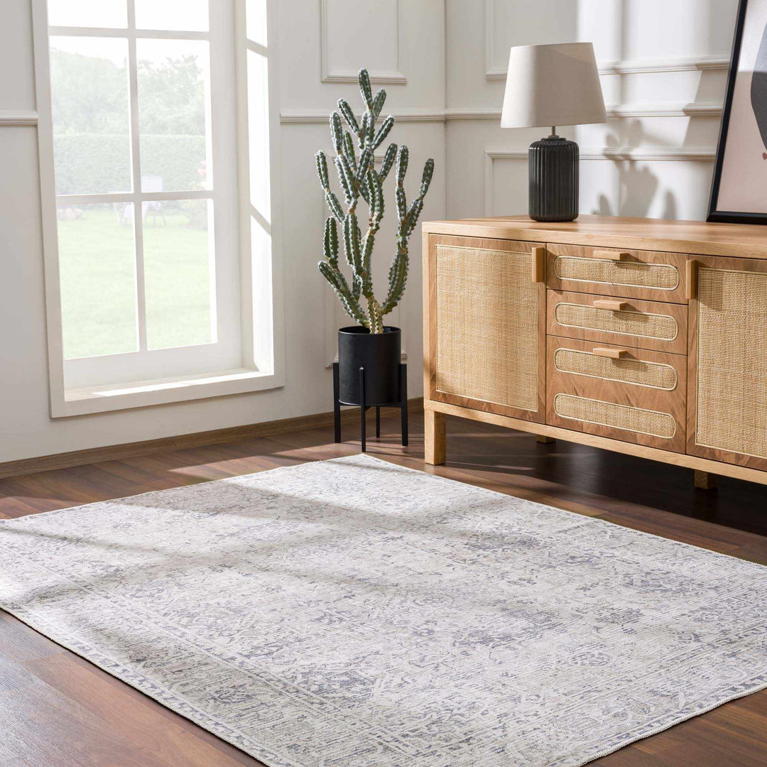 Nyako Gray Traditional Style Area Rug