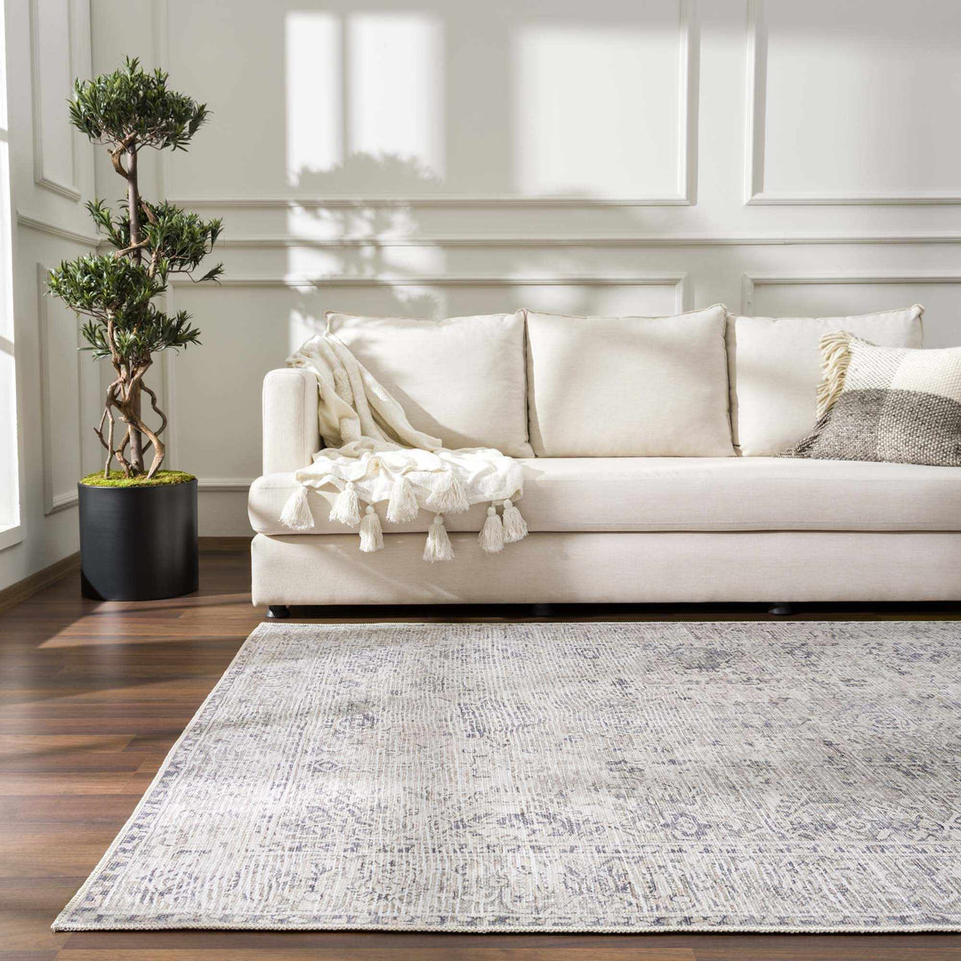 Nyako Gray Traditional Style Area Rug