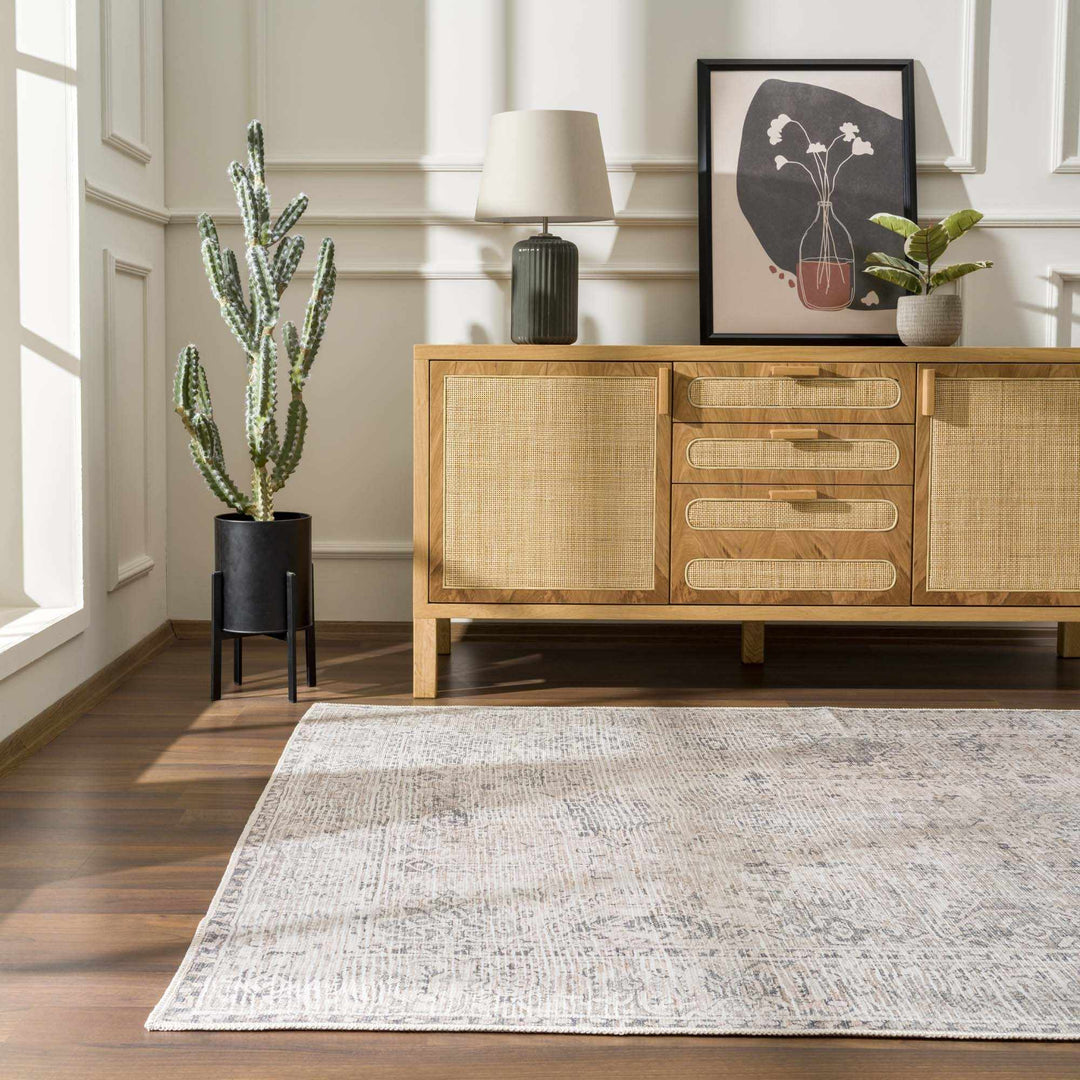 Nyako Gray Traditional Style Area Rug