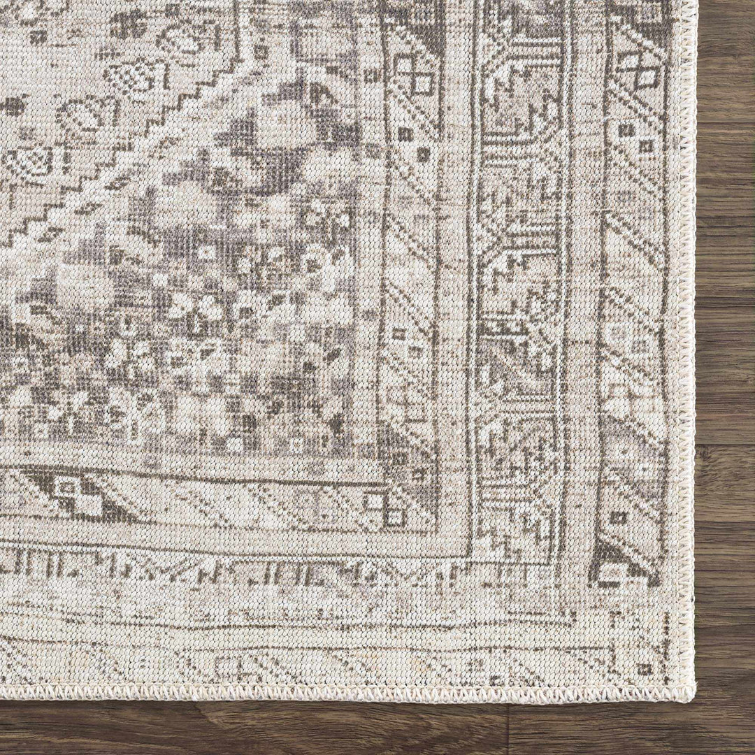 Nadie Traditional Style Beige and Brown Area Rug