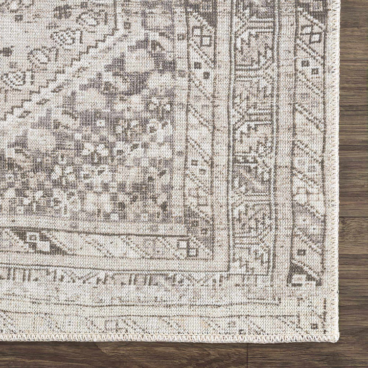 Nadie Traditional Style Beige and Brown Area Rug