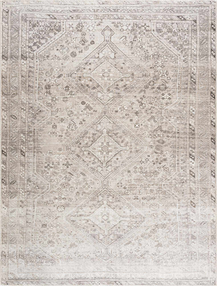 Nadie Traditional Style Beige and Brown Area Rug