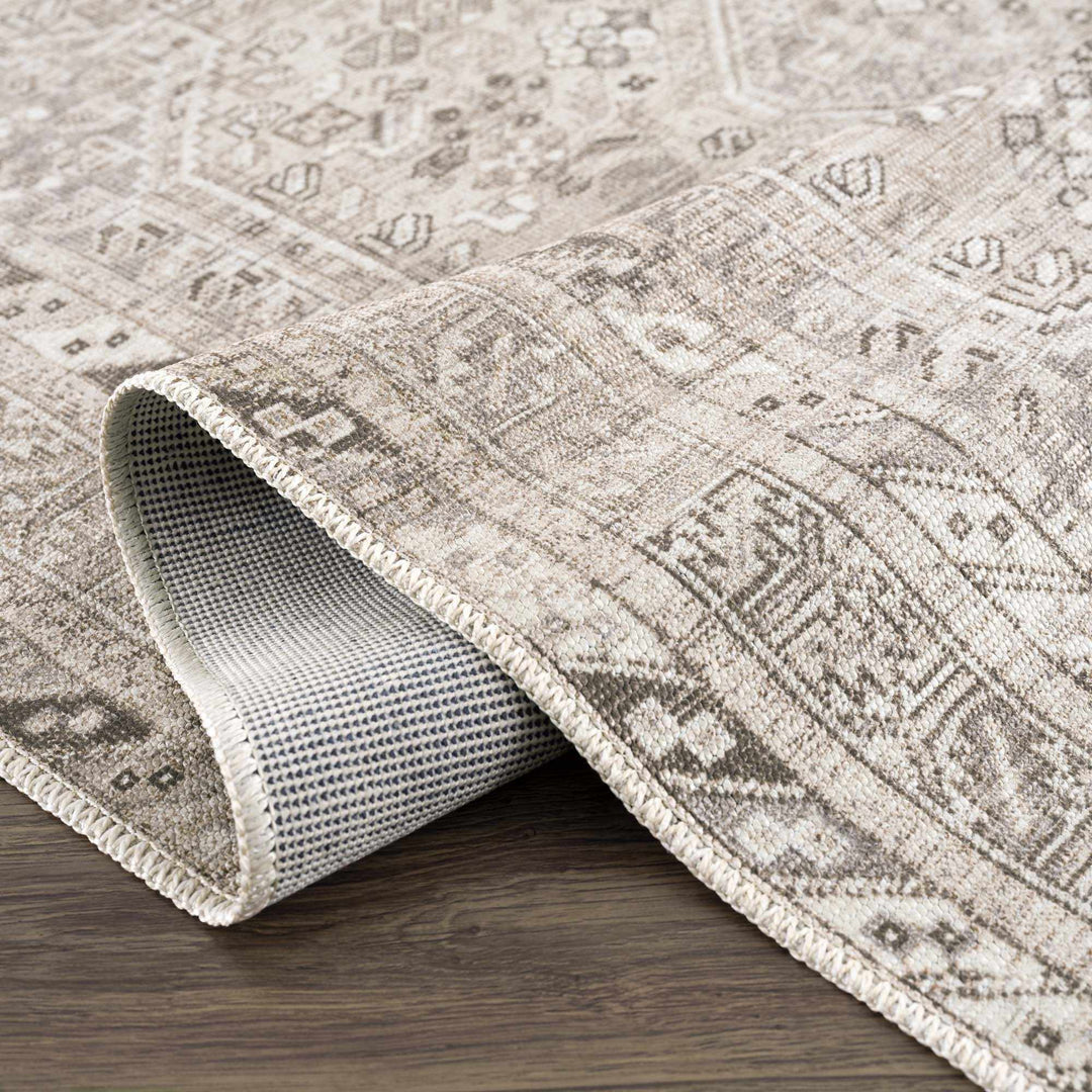Nadie Traditional Style Beige and Brown Area Rug