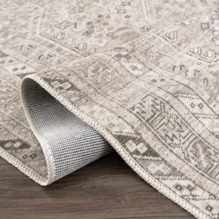 Nadie Traditional Style Beige and Brown Area Rug
