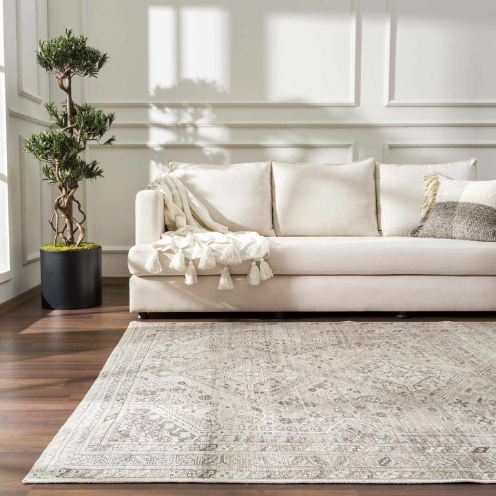 Nadie Traditional Style Beige and Brown Area Rug