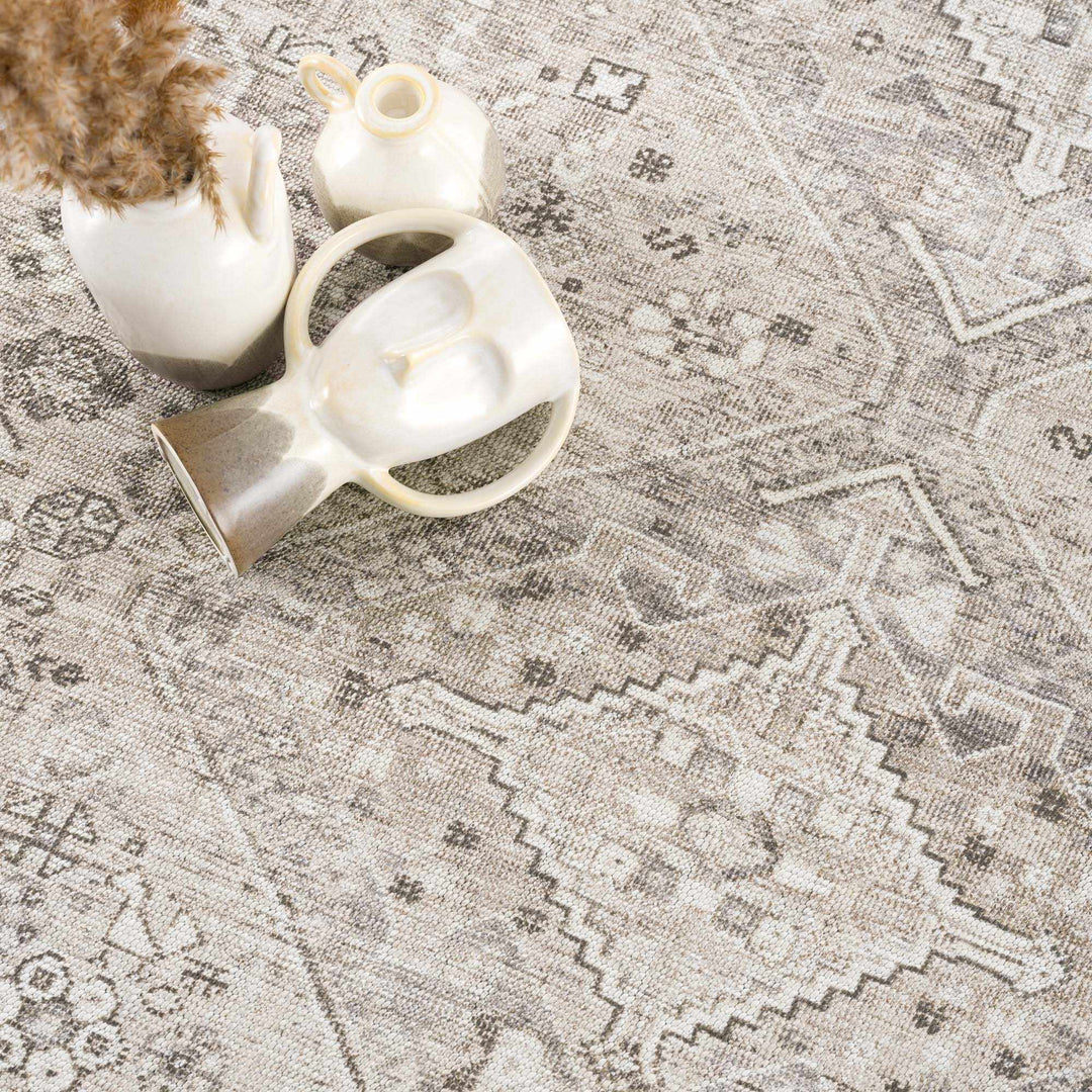 Nadie Traditional Style Beige and Brown Area Rug