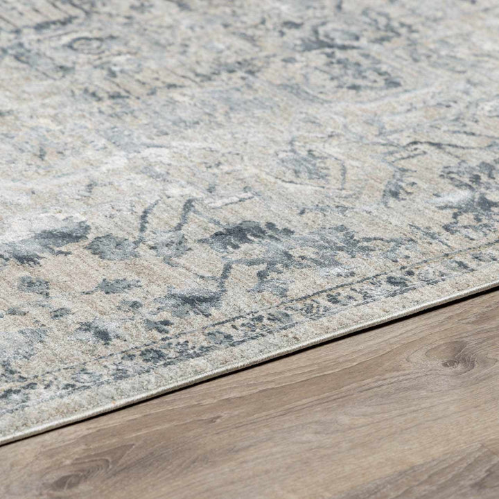 Embsay Traditional Medallion Design Gray And Blue Area Rug