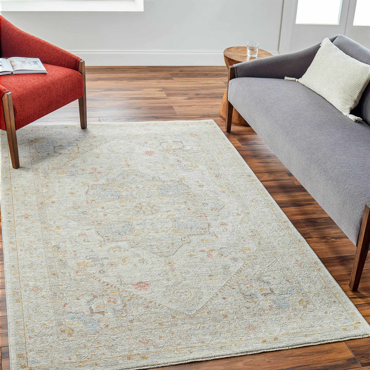 Engin Traditional Medallion Design Gray Area Rug