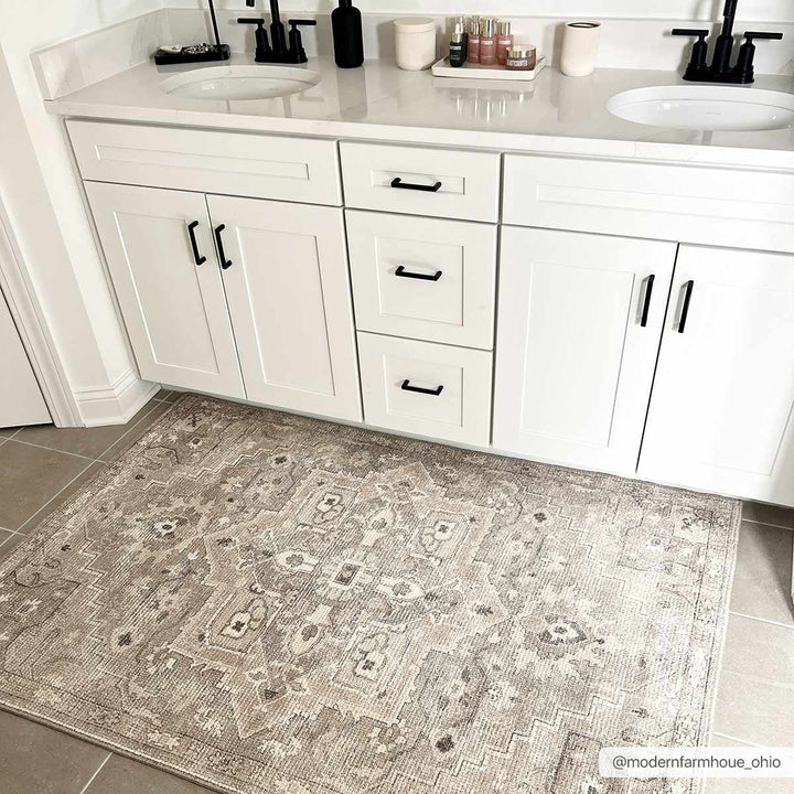 Esau Traditional Gray Machine Woven Area Rug