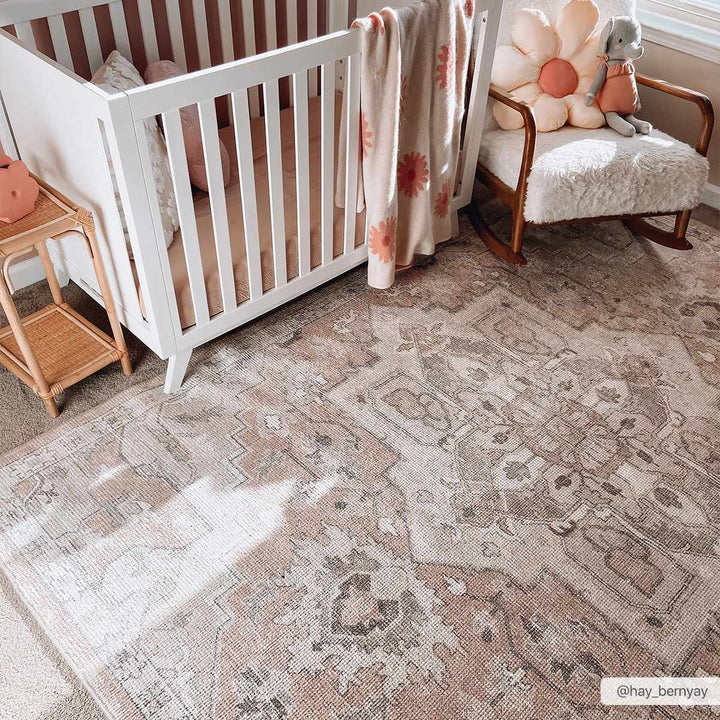 Elle Traditional Style Beige And Peach Area Rug