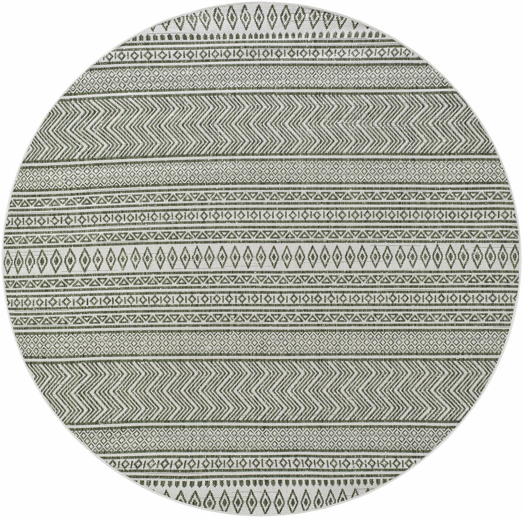 Fenny Modern Style Green And Ivory Outdoor Area Rug