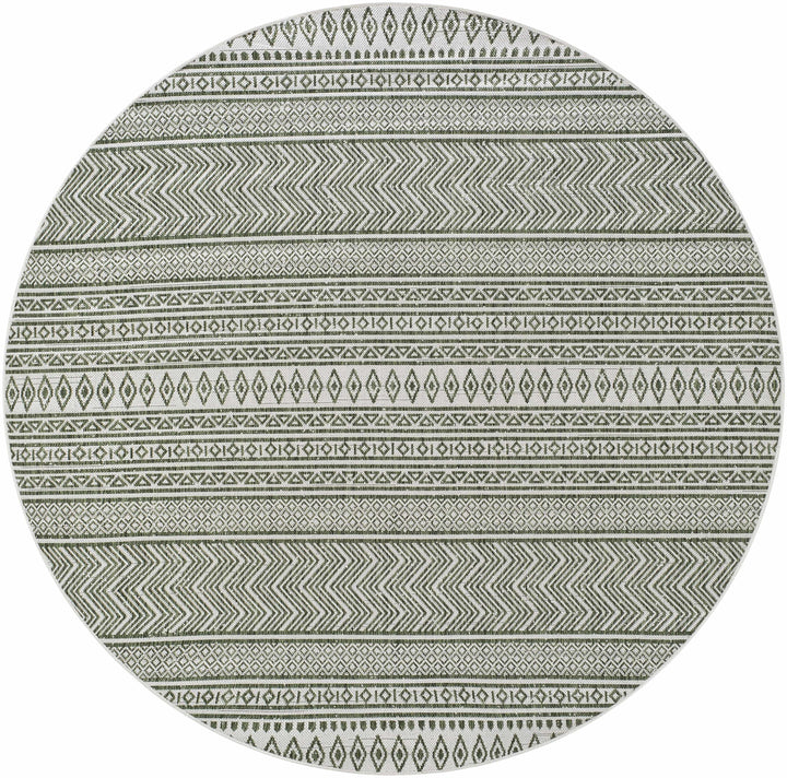 Fenny Modern Style Green And Ivory Outdoor Area Rug
