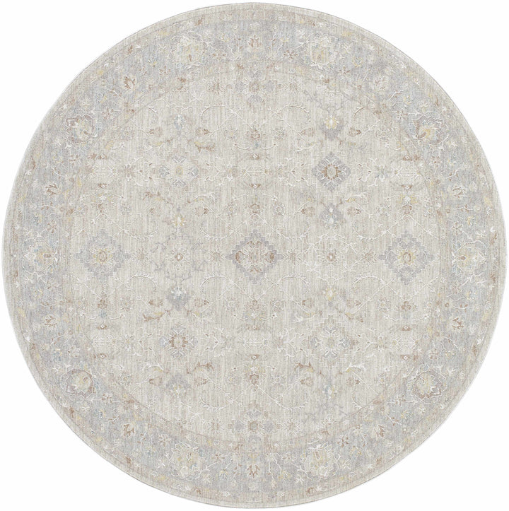 Feray Traditional Style Beige And Gray Area Rug