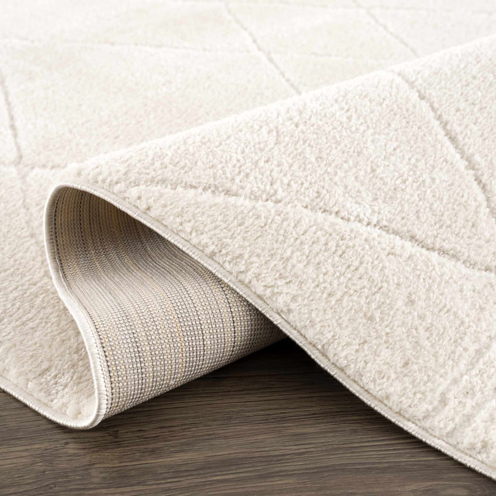 Keone Modern Style Ivory Area Rug