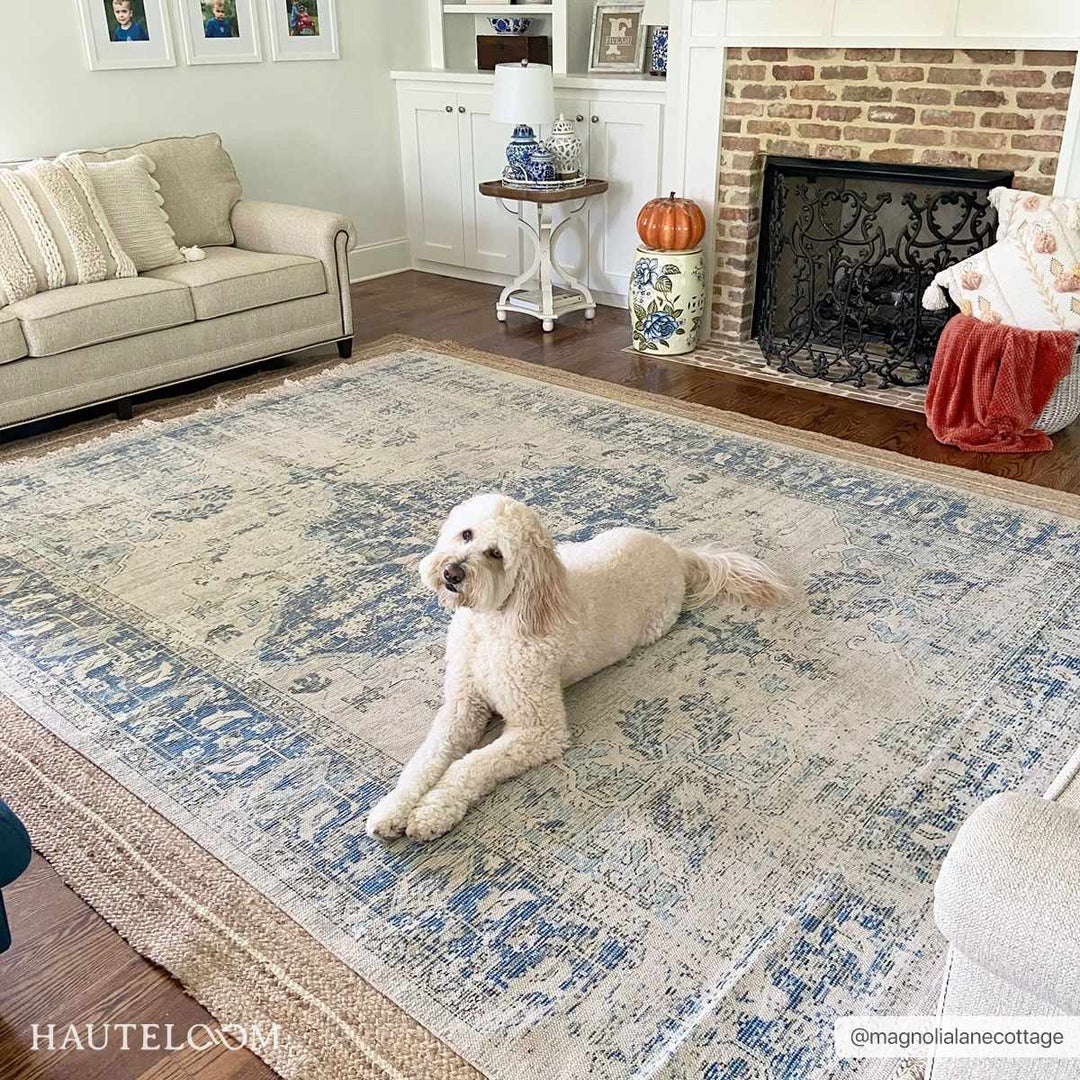 Fairlands Traditional Style Ivory And Blue Hand Woven Area Rug