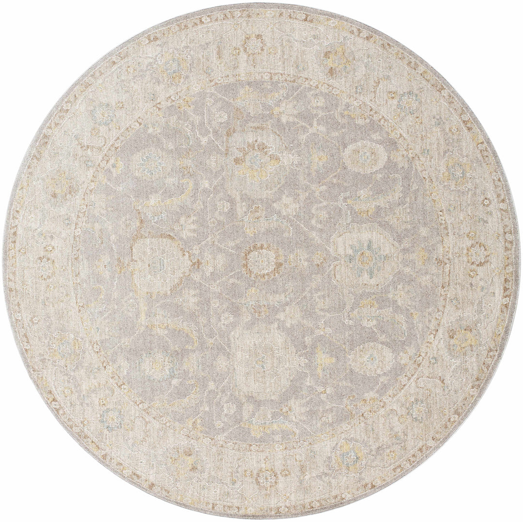 Giang Traditional Gray And Beige Area Rug