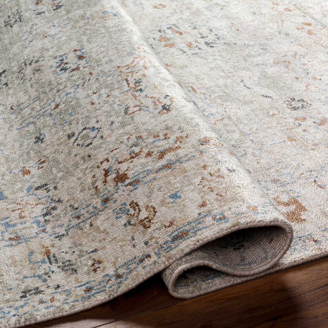 Gonzaga Transitional Design Gray And Beige Hand Knotted Premium Rug