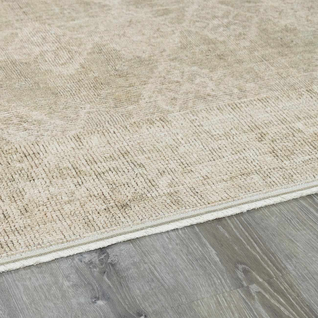 Aurica Traditional Style Beige And Green Area Rug