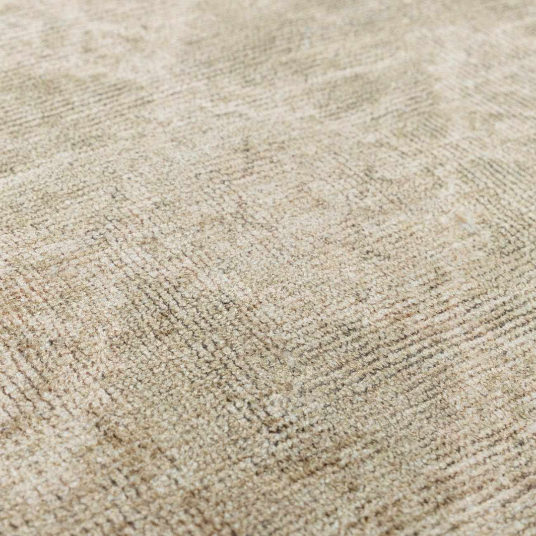 Aurica Traditional Style Beige And Green Area Rug
