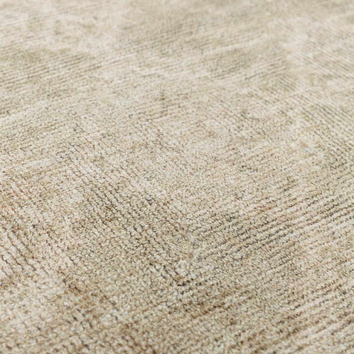 Aurica Traditional Style Beige And Green Area Rug
