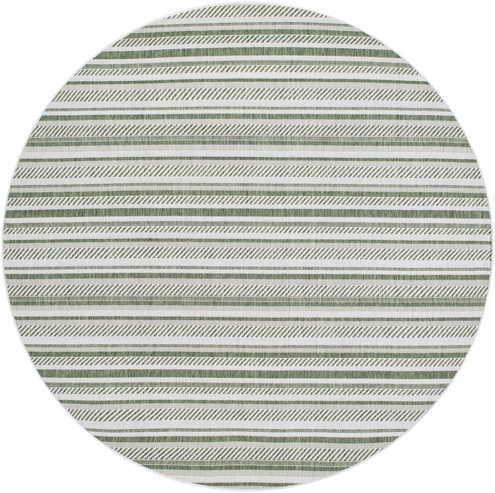 Gram Contemporary Style Green And Ivory Outdoor Rug