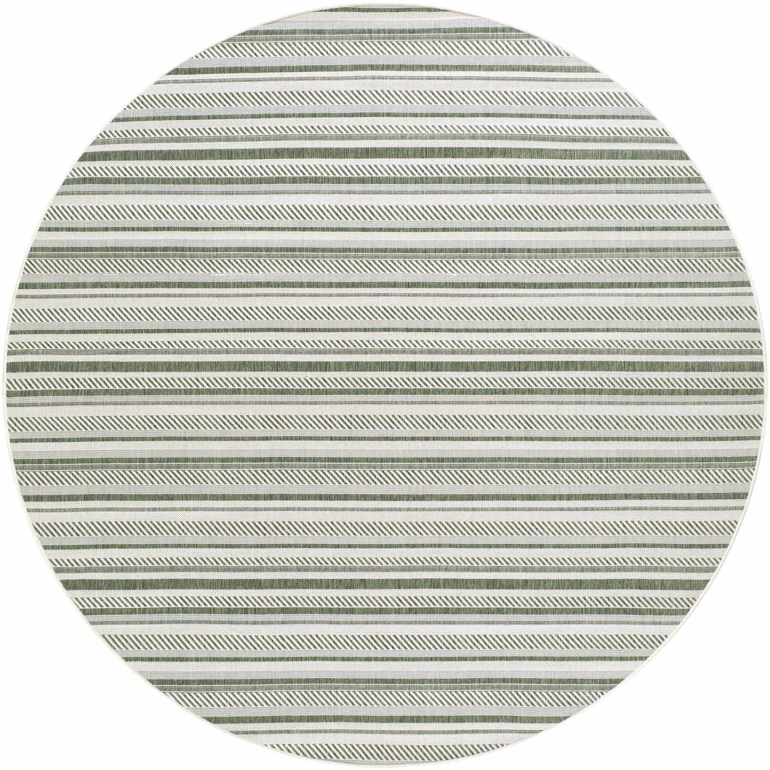 Gram Contemporary Style Green And Ivory Outdoor Rug