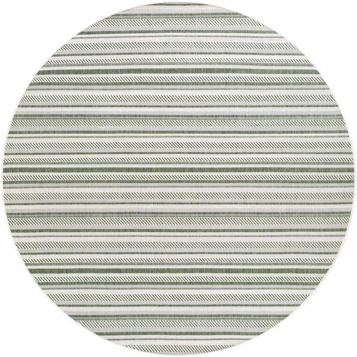 Gram Contemporary Style Green And Ivory Outdoor Rug