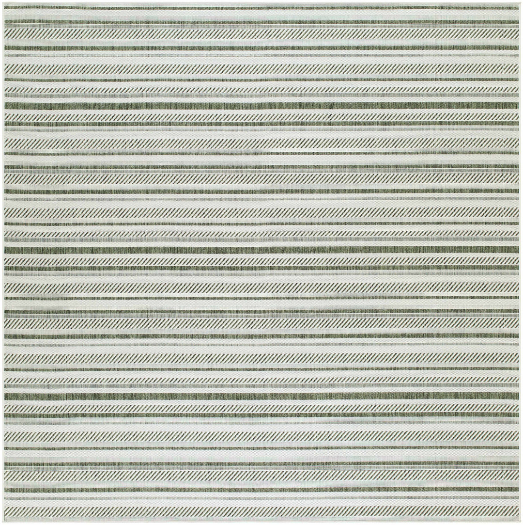 Gram Contemporary Style Green And Ivory Outdoor Rug