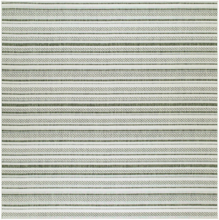 Gram Contemporary Style Green And Ivory Outdoor Rug