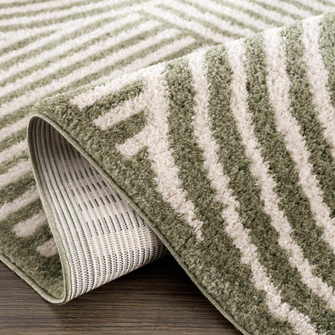 Allard Olive And Beige Contemporary Design Washable Rug