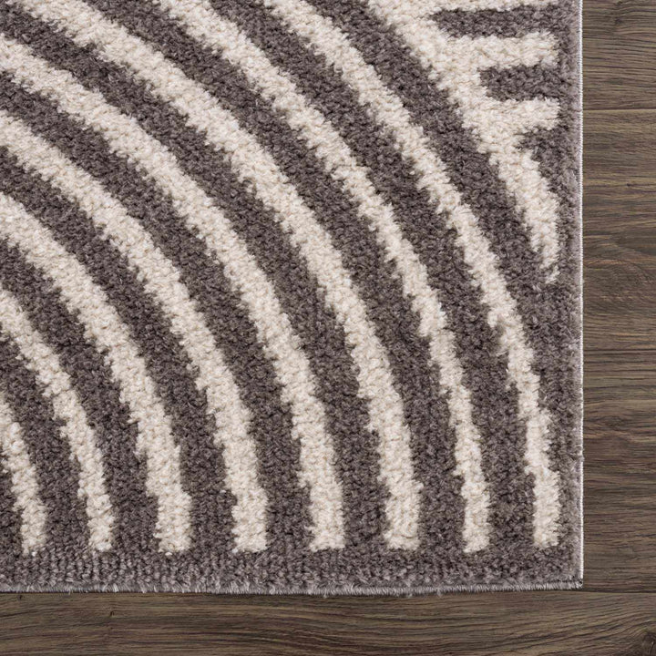 Allard Contemporary Style Beige And Brown Washable Area Rug