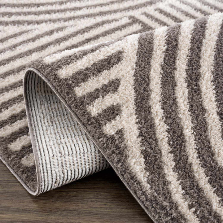 Allard Contemporary Style Beige And Brown Washable Area Rug
