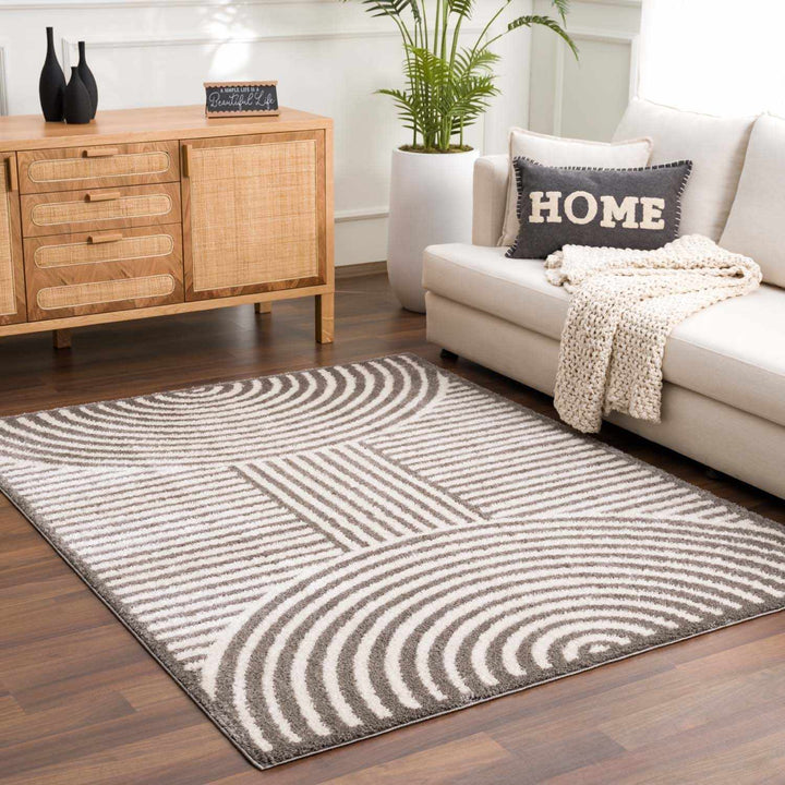 Allard Contemporary Style Beige And Brown Washable Area Rug