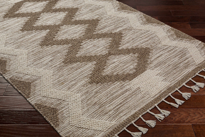 Highpoint Bohemian Style Ivory And Brown Hand Woven Wool Area Rug