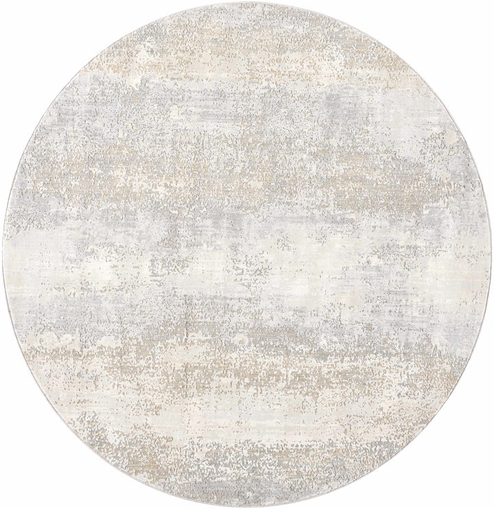 Ikram Modern Style Gray And Beige Boutique Rug