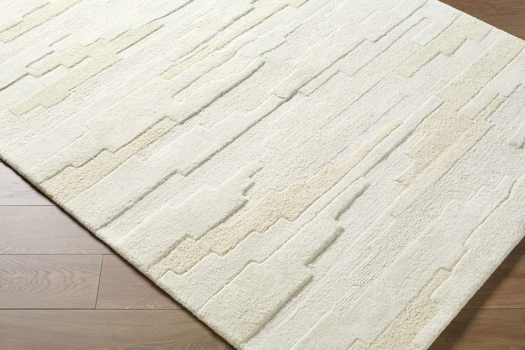 Anufry Contemporary Abstract Beige And Ivory Rug