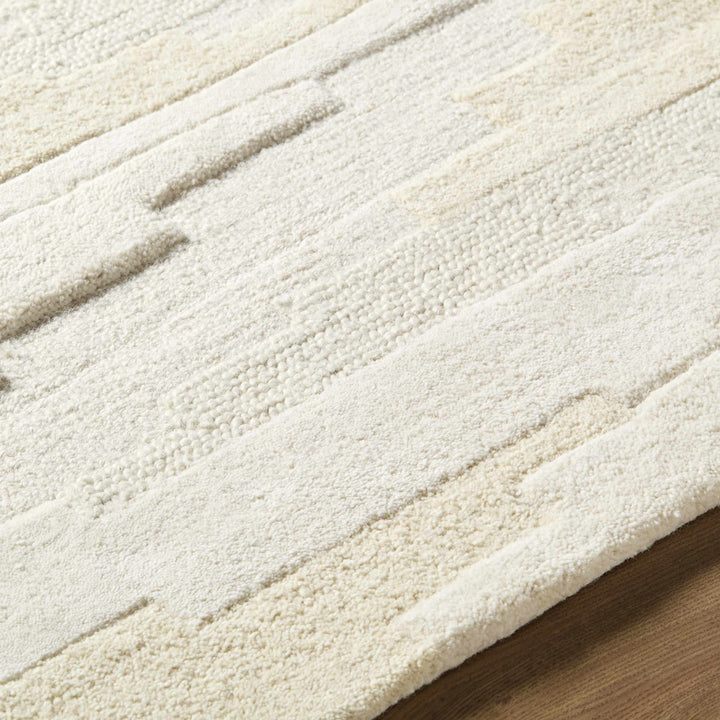 Anufry Contemporary Abstract Beige And Ivory Rug