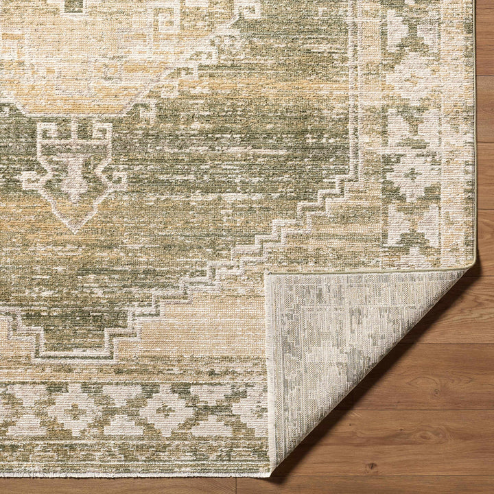 Kailey Traditional Style Tan And Olive Area Rug