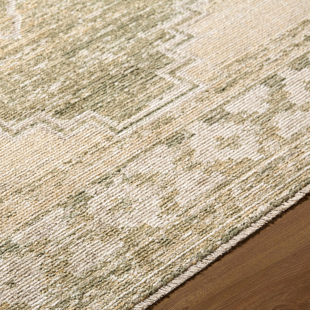 Kailey Traditional Style Tan And Olive Area Rug