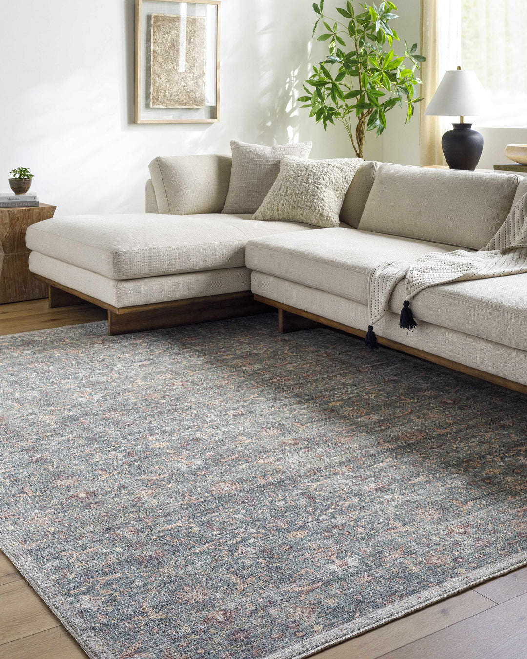 Amasai Traditional Style Gray And Charcoal Area Rug