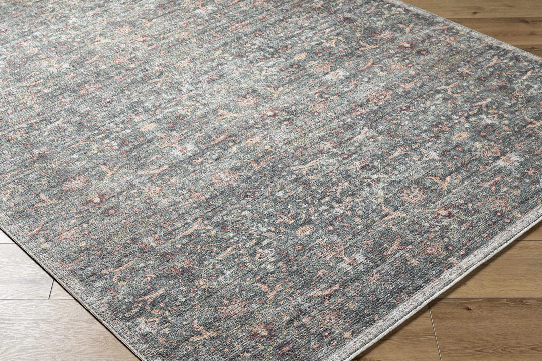 Amasai Traditional Style Gray And Charcoal Area Rug