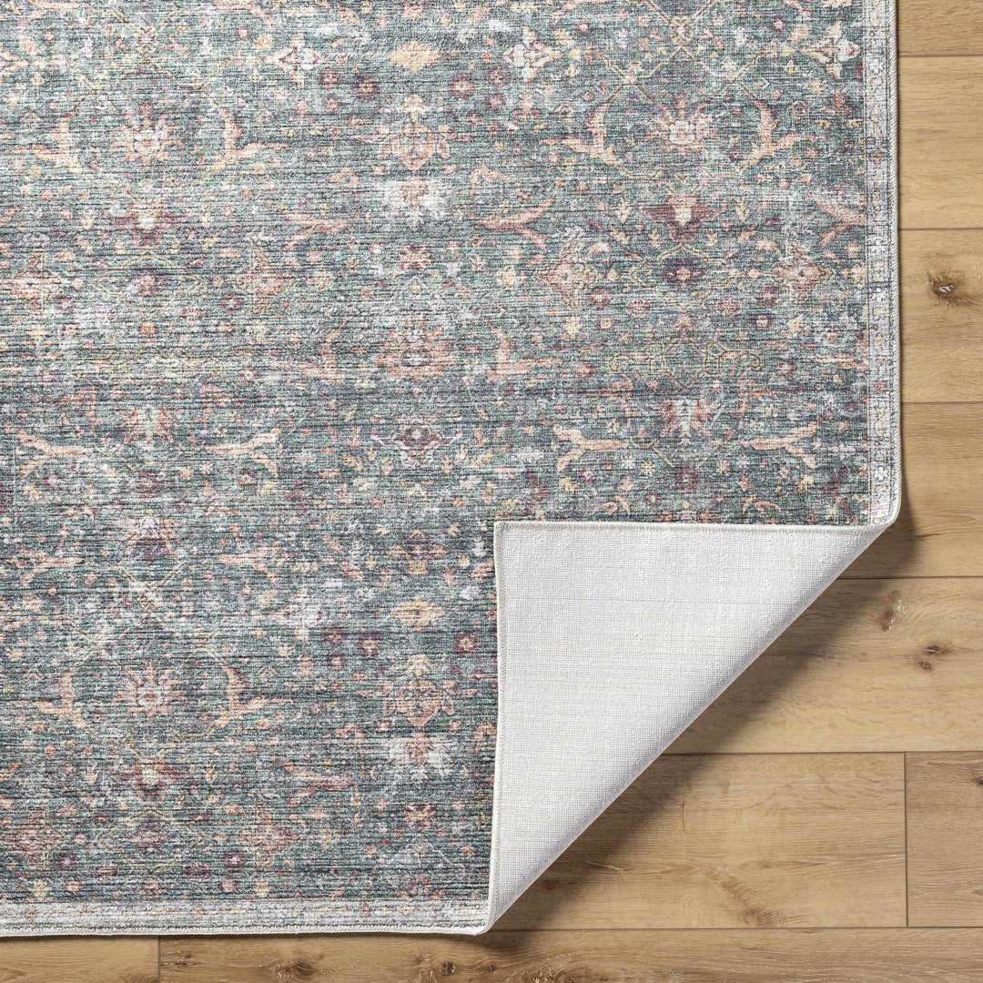 Amasai Traditional Style Gray And Charcoal Area Rug