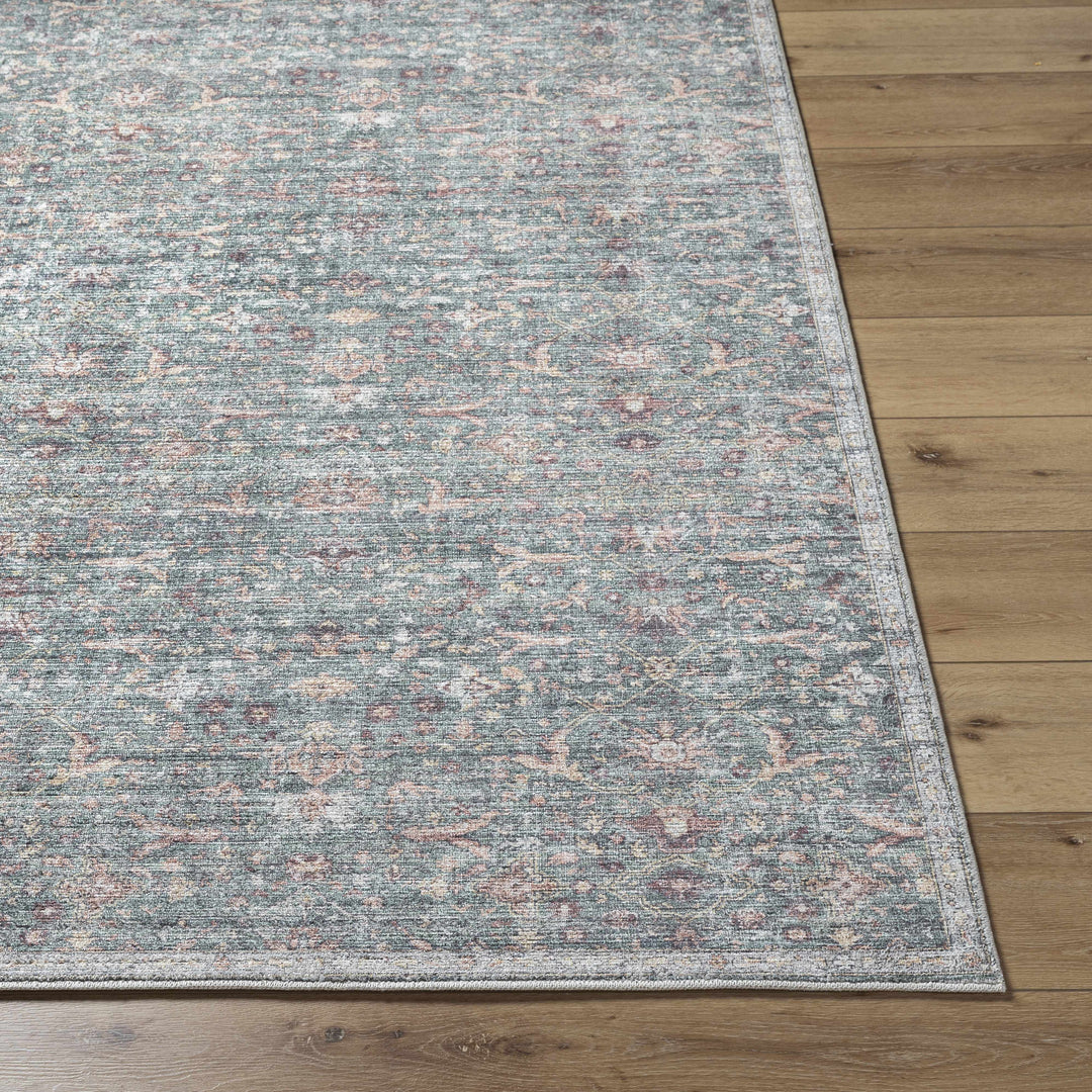 Amasai Traditional Style Gray And Charcoal Area Rug