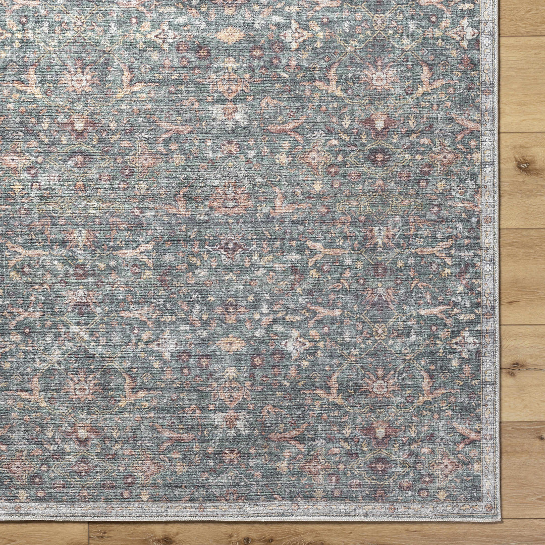 Amasai Traditional Style Gray And Charcoal Area Rug
