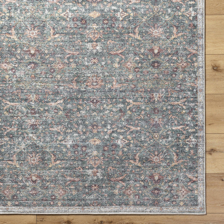 Amasai Traditional Style Gray And Charcoal Area Rug